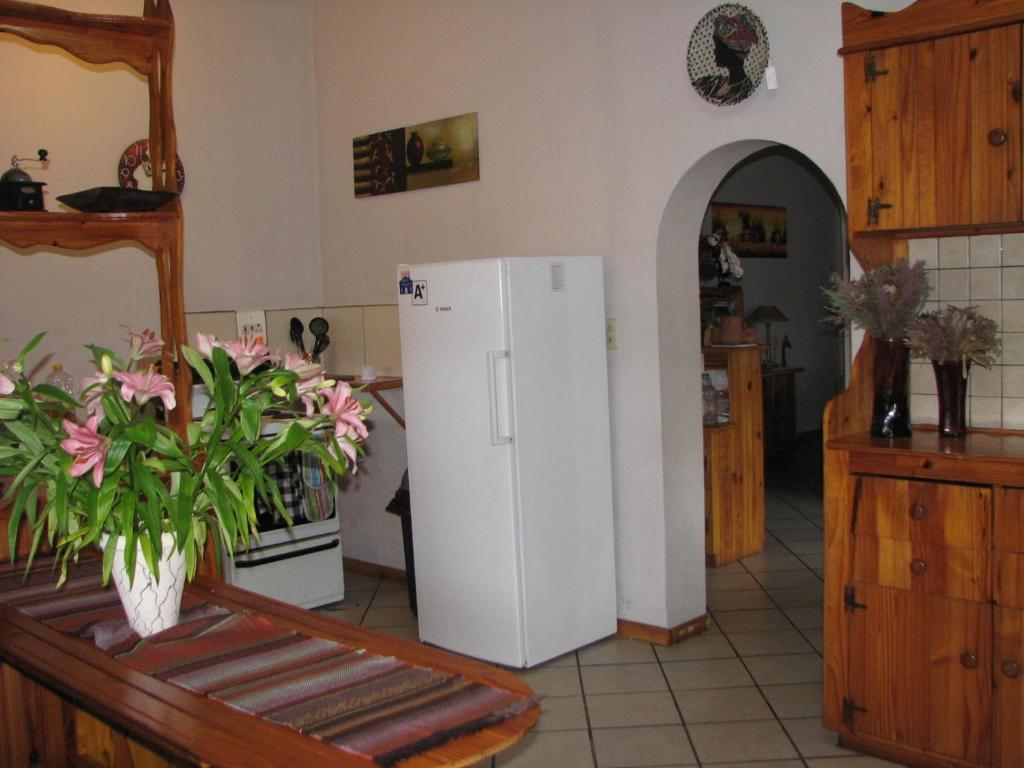 Jembjo'S Knysna Lodge & Backpackers Dış mekan fotoğraf